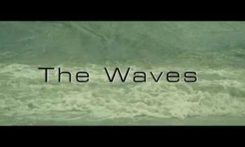 The Waves (B-Roll Video)